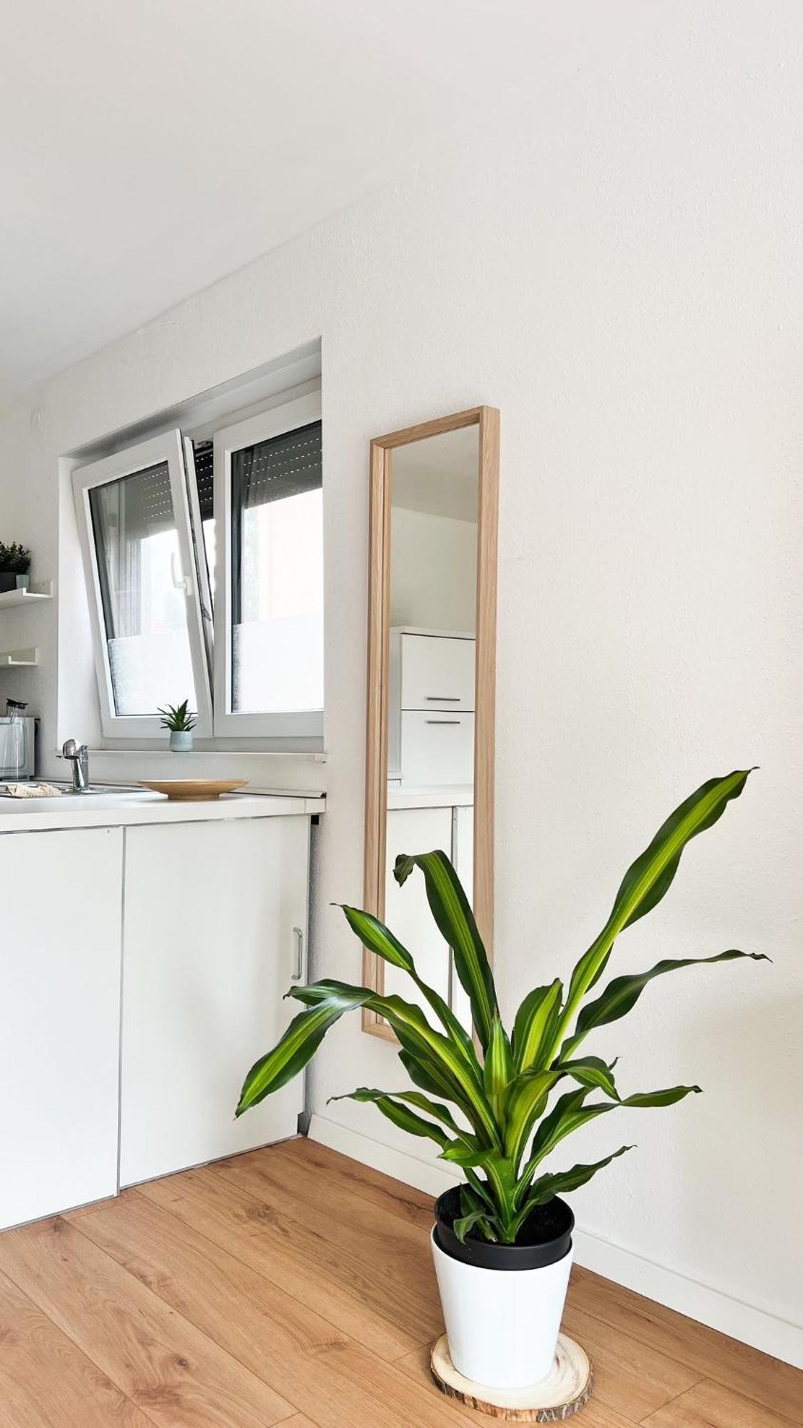 Apartment 2 Zkb In Kueche - Parken - Grosser Tv *
